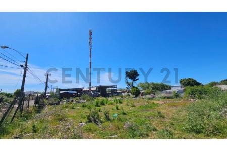 Concepción, Región Del Biobío 00001, צ'ילה