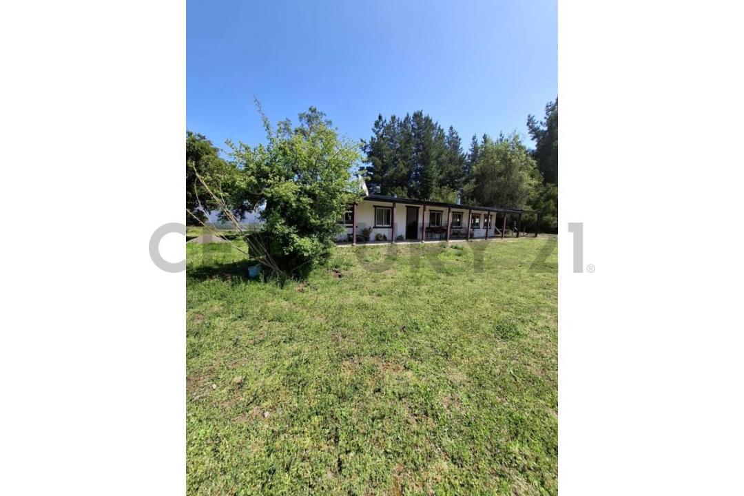 Concepción, Región Del Biobío 00001, Cile