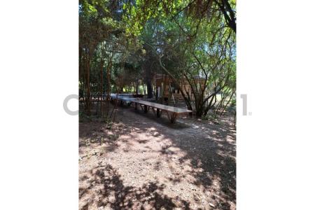 Concepción, Región Del Biobío 00001, Cile