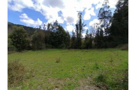 Concepción, Región Del Biobío 00001, 칠레