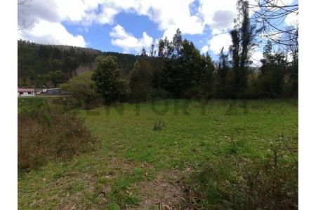 Concepción, Región Del Biobío 00001, 칠레