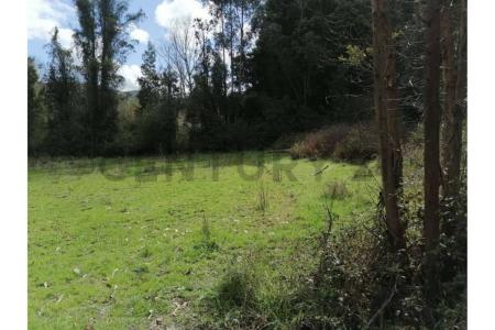 Concepción, Región Del Biobío 00001, 칠레