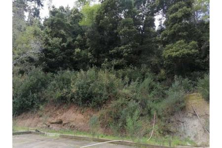 Concepción, Región Del Biobío 00001, 칠레