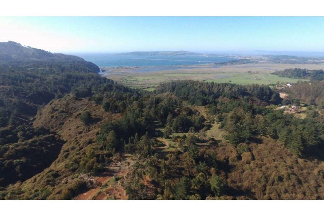 Concepción, Región Del Biobío 00001, Chile