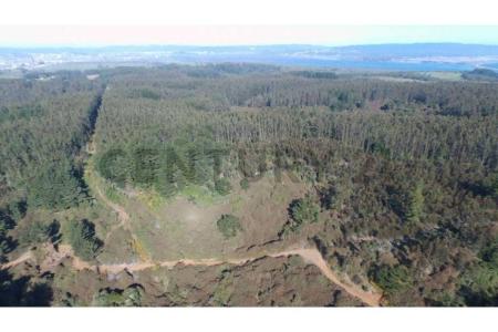 Concepción, Región Del Biobío 00001, Chile