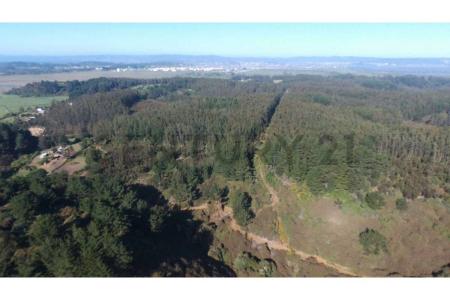 Concepción, Región Del Biobío 00001, Chile