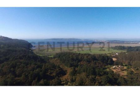 Concepción, Región Del Biobío 00001, Chile