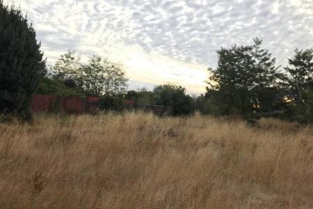 Diguillín, Región De Ñuble 00001, Chile