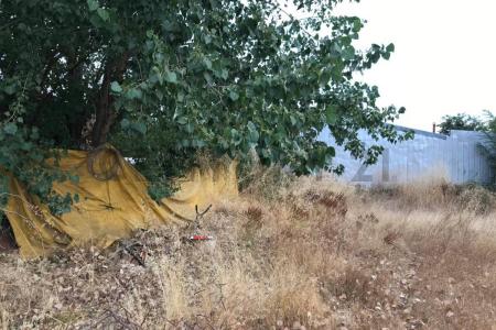 Diguillín, Región De Ñuble 00001, Chile