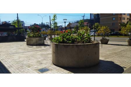 Concepción, Región Del Biobío 00001, Chi-Lê