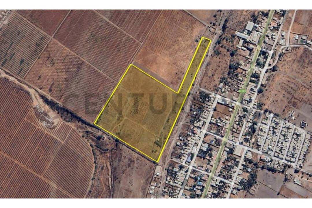 Limarí, Coquimbo 00001, Chile