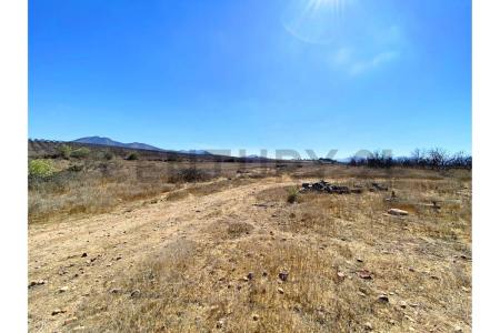 Limarí, Coquimbo 00001, Chile