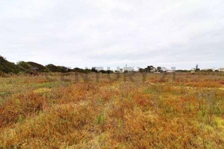 Elqui, Coquimbo 00001, Cile