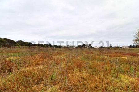 Elqui, Coquimbo 00001, Cile