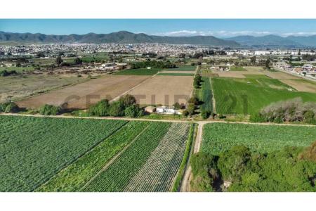 Elqui, Coquimbo 00001, 智利