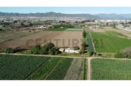 Elqui, Coquimbo 00001, 智利