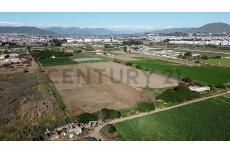 Elqui, Coquimbo 00001, 智利