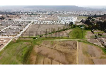 Elqui, Coquimbo 00001, Chile