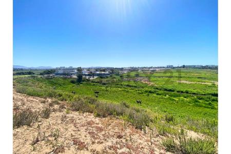 Elqui, Coquimbo 00001, Chile