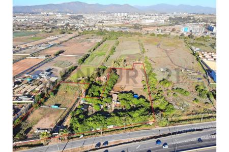 Elqui, Coquimbo 00001, Chile