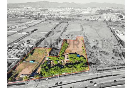 Elqui, Coquimbo 00001, 智利