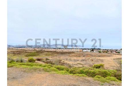 Elqui, Coquimbo 00001, Chile