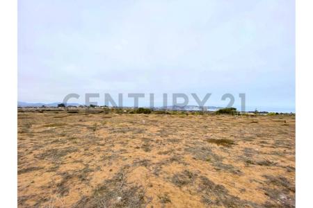 Elqui, Coquimbo 00001, Chile