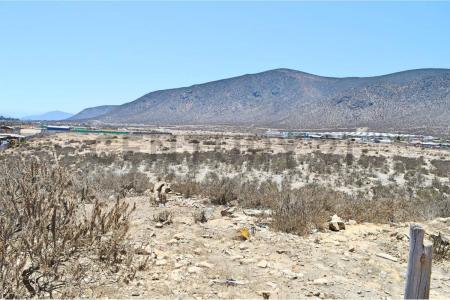 Elqui, Coquimbo 00001, Cile