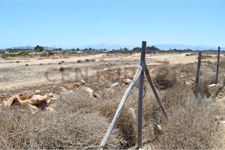 Elqui, Coquimbo 00001, Cile