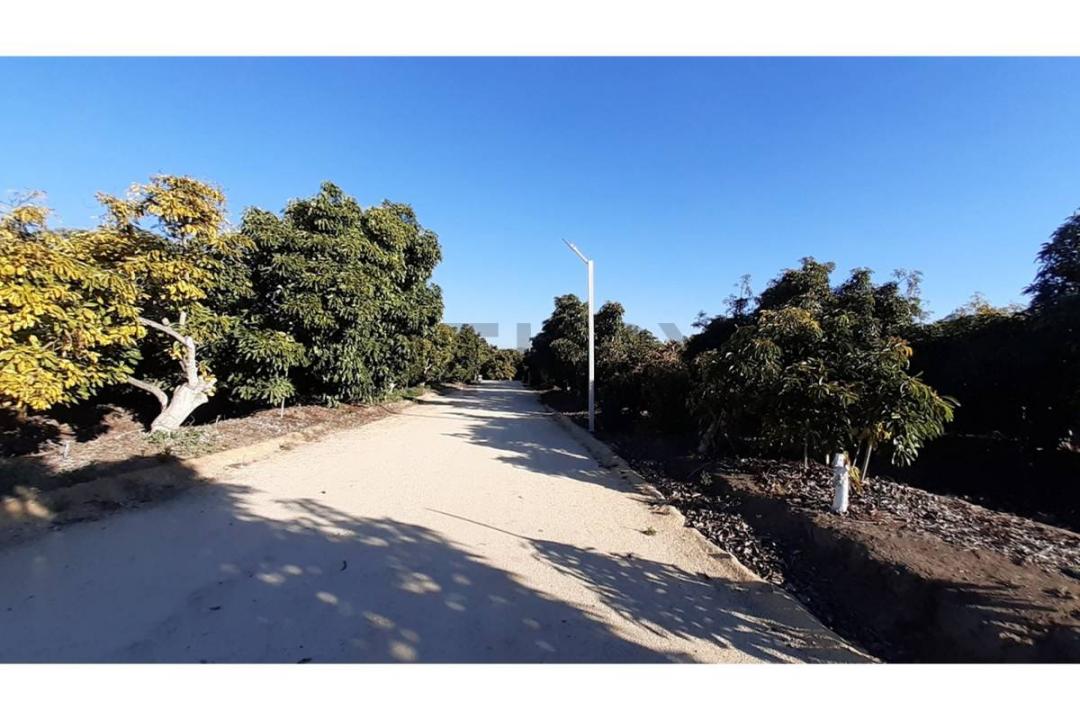 Quillota, Valparaíso 00001, Chile