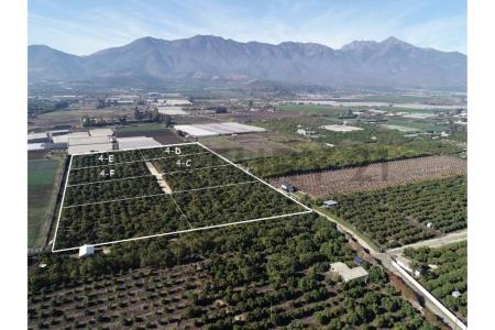 Quillota, Valparaíso 00001, Chile