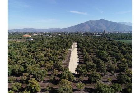 Quillota, Valparaíso 00001, Chile