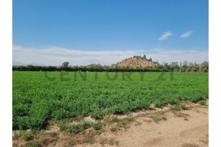 Maipo, Región Metropolitana De Santiago 00001, 智利