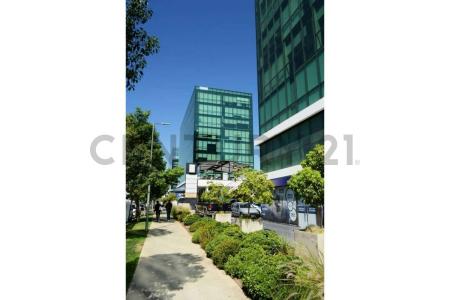 Cachapoal, Región del Libertador Gral. Bernardo O’Higgins 00001, Chile