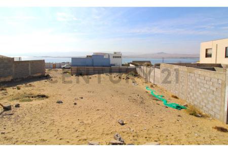 Copiapó, Atacama 00001, 칠레