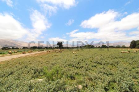 Copiapó, Atacama 00001, Chile