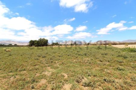 Copiapó, Atacama 00001, Chile