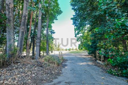 Cachapoal, Región Del Libertador Gral. Bernardo O’Higgins 00001, Chile