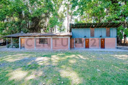 Cachapoal, Región Del Libertador Gral. Bernardo O’Higgins 00001, Chile