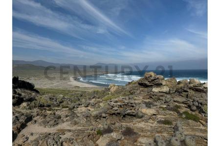 Limarí, Coquimbo 00001, Chi-Lê