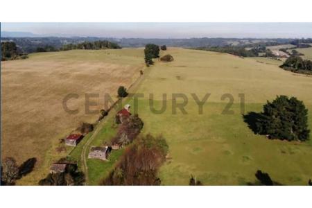 Llanquihue, Región De Los Lagos 00001, Chile