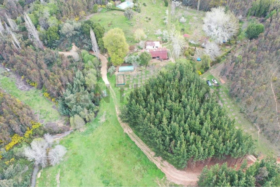 Concepción, Región Del Biobío 00001, Chile