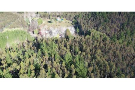 Concepción, Región Del Biobío 00001, Chile