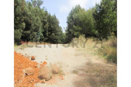 Concepción, Región Del Biobío 00001, Chile