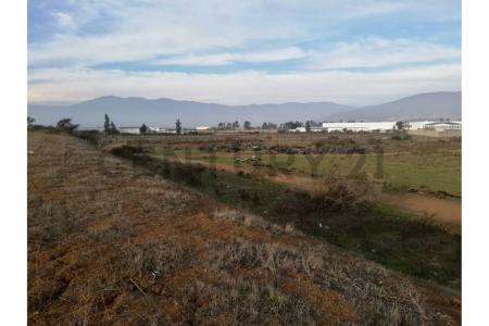 Petorca, Valparaíso 00001, Chile