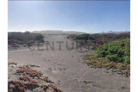 Cardenal Caro, Región Del Libertador Gral. Bernardo O’Higgins 00001, Cile