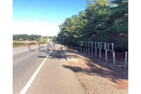 Cardenal Caro, Región Del Libertador Gral. Bernardo O’Higgins 00001, Cile