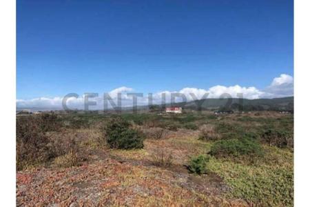 Cardenal Caro, Región Del Libertador Gral. Bernardo O’Higgins 00001, Cile