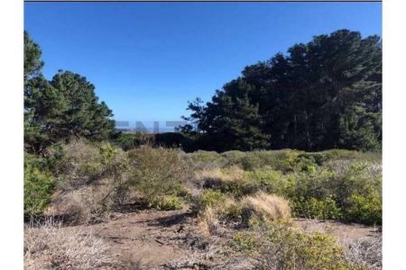 Cardenal Caro, Región Del Libertador Gral. Bernardo O’Higgins 00001, Cile