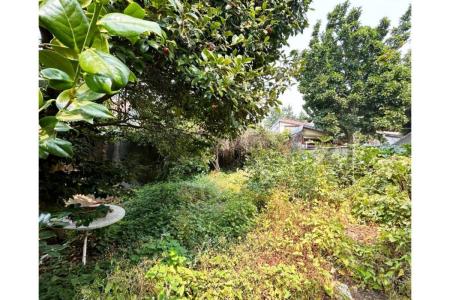 Concepción, Región Del Biobío 00001, Chile